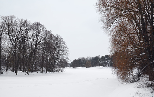 Snow covered lake in a city park. Winter landscape.