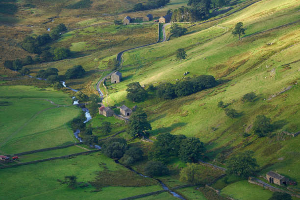 stare kamienne stodoły i pola uprawne wzdłuż wiejskiej drogi w howe grain, martindale. - nature rough cumbria sunlight zdjęcia i obrazy z banku zdjęć