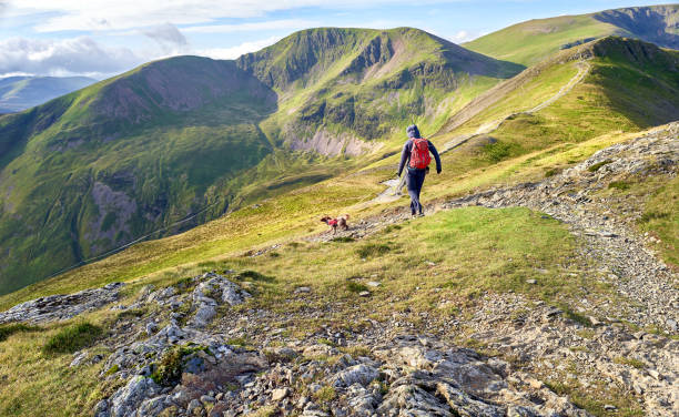 un escursionista che cammina in discesa dalla cima del grisedale pike verso hobcarton. - uk mountain color image cumbria foto e immagini stock