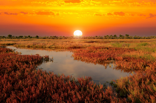 Red sunset scene over pond in steppe