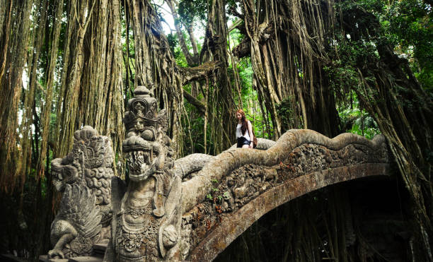 Bali There are lots of cheeky monkeys and stunning architecture in the monkey forest in ubud ubud photos stock pictures, royalty-free photos & images