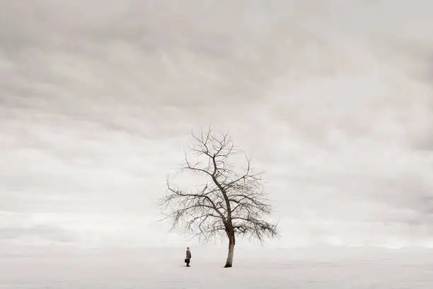 A man holding a briefcase looks up at a dead tree on an empty and desolate plain.