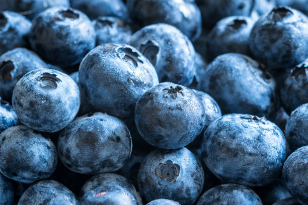 istock fresh ripe blueberries closeup background 1367346567