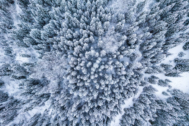 istock Panoramic drone view over Tarnow cityscape in winter 1367347051