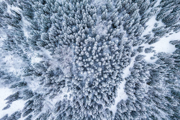 istock Panoramic drone view over Tarnow cityscape in winter 1367348255