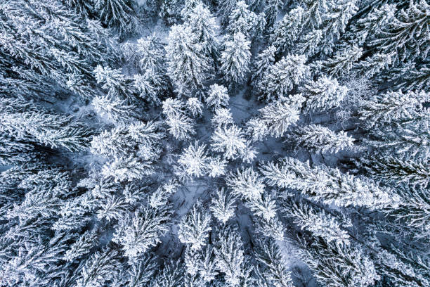 istock Panoramic drone view over Tarnow cityscape in winter 1367349705
