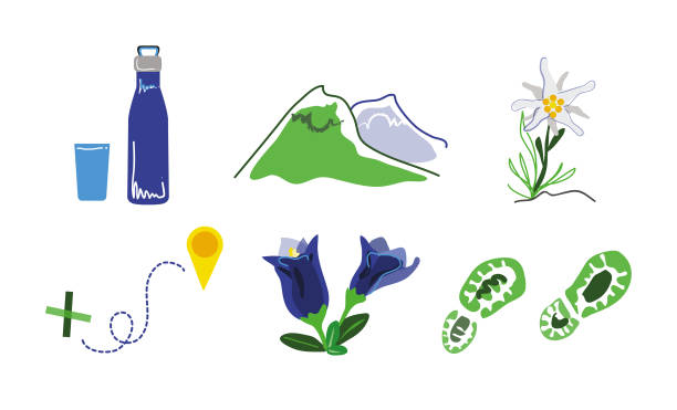 ilustrações de stock, clip art, desenhos animados e ícones de icons mountain hike nature adventure trail illustration summer. - montagne sol