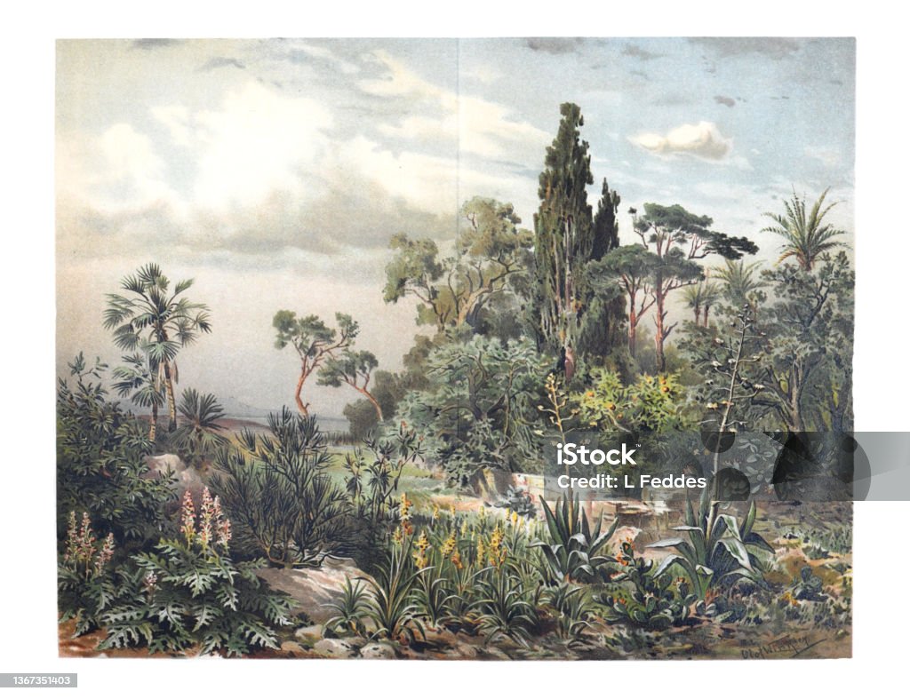 Papel pintado de selva verde de planta exótica. ilustración botánica vintage de selva tropical dibujada a mano. - Ilustración de stock de Retro libre de derechos