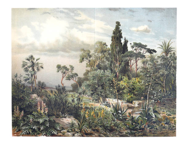 exotic plant green jungle wallpaper. hand drawn tropical  jungle vintage botanical illustration. - retro tarzlı illüstrasyonlar stock illustrations