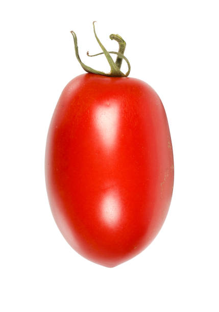 サンマルツァーノトマトの分離 - san marzano tomato ストックフォトと画像