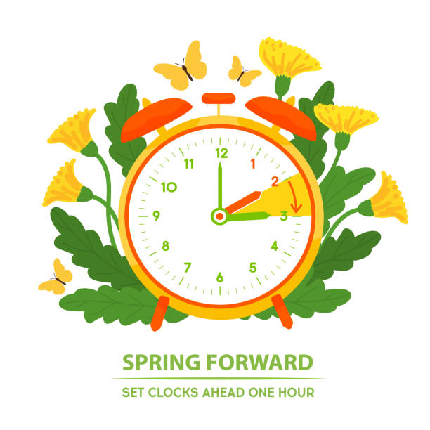 Daylight saving time begins. Spring forward banner. Alarm clock with forward moving hand Daylight Saving Time begins. Spring forward reminder. Alarm clock with forward moving hand. Clock with dandelion flowers. Change clocks banner. Vector illustration isolated on white daylight saving time stock illustrations