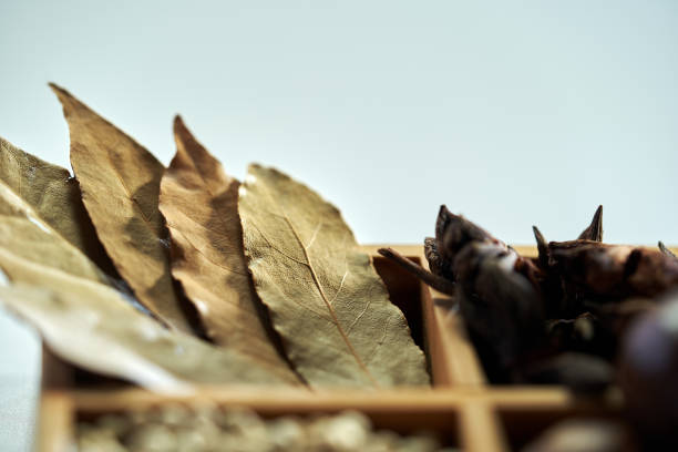 selective focus on cbay leaf with other variety of spices