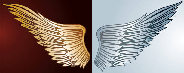 абстрактный цвет декоративных расправленных крыльев - artificial wing wing eagle bird stock illustrations