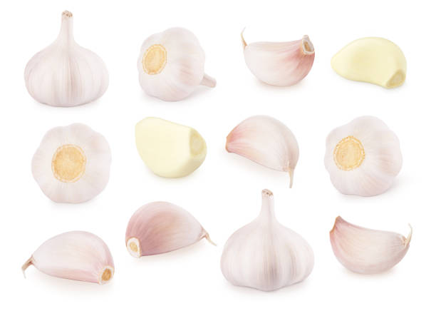 istock Large set of fresh garlic isolated on white background. 1367359772