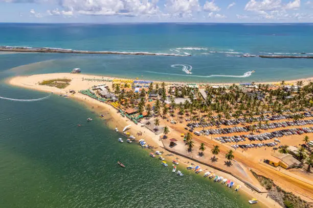 Aerial view of Gunga Beach or "Praia do Gunga", with its clear waters and coconut trees, Maceio, Alagoas. Northeast region of Brazil.