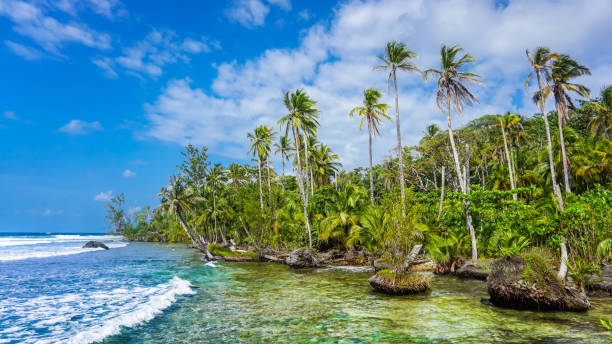 istock Tropical wallpaper and beautiful seascape natural environment. 1367360075
