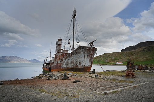 Grytviken was the largest whaling station on South Georgia in the South Atlantic.
The settlement has become a popular attraction for Antarctic cruise lines, with many tourists visiting the resting places of polar explorers Ernest Shackleton