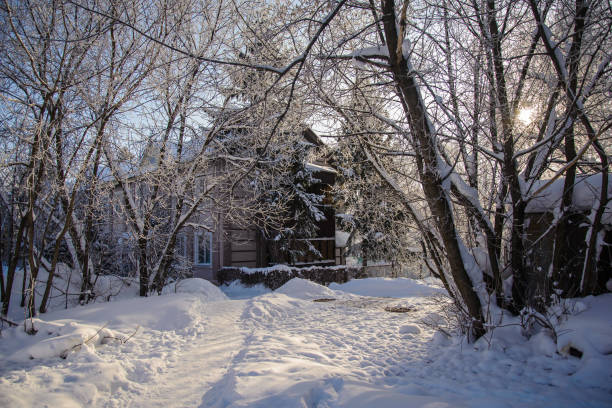 istock Winter sunny day with snow-covered trees 1367360365