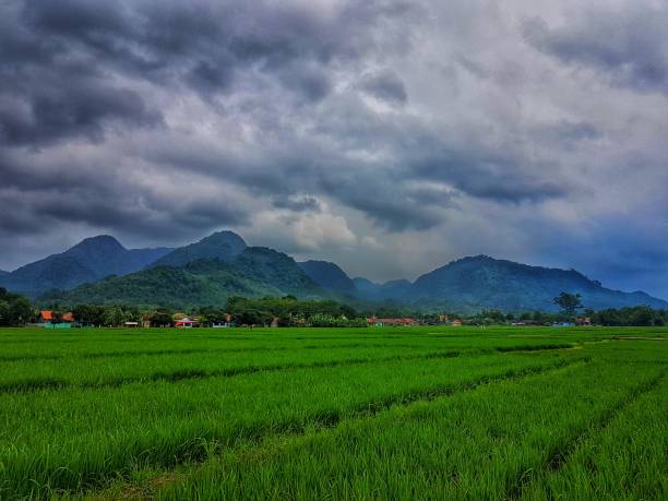istock Wonderful view at Mount Sang hyang dora 1367361716