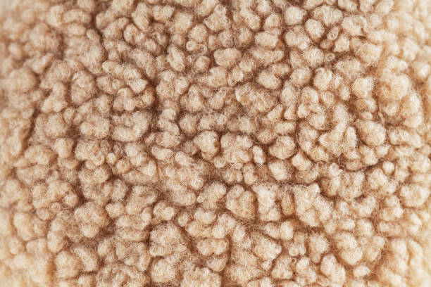 ベージュウール背景自然羊皮クローズアップ - merino sheep ストックフォトと画像