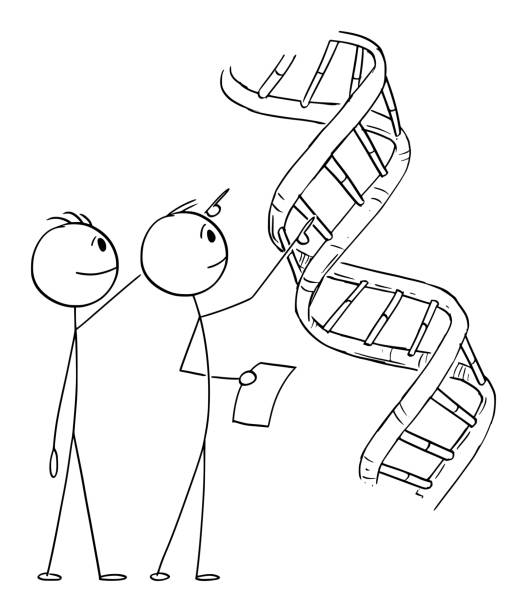 280+ Stick Figure People Research And Observation Stock Photos ...