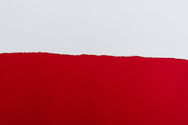 istock Background of torn white paper 1367371167