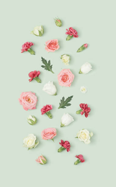 istock Pastel colored spring flowers layout against the green background. 1367372414