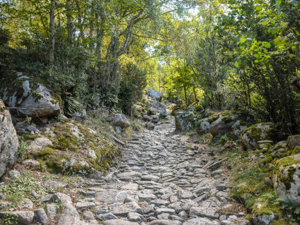 istock beautiful mountain landscape with bare cliffs and old tower, 1367373919