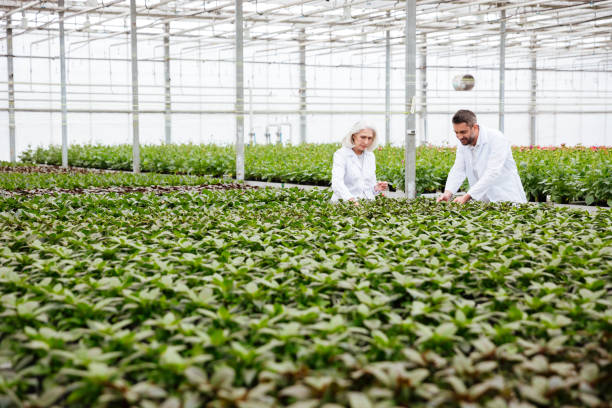 istock Man and woman working with plants 1367373972