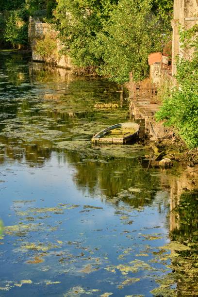 istock a small sunken rowing boat in a seaweed creek 1367374714