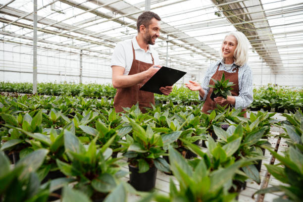 istock Smiling workers in garden looking and touching plants 1367374935