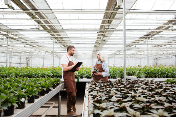 istock Gardeners talking about plants in greenhouse 1367374954