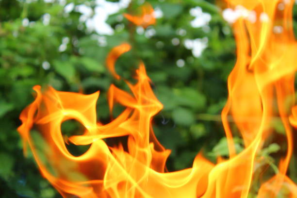 a beautiful yellow flame of fire. close-up. background. - forest fire power actions nature imagens e fotografias de stock