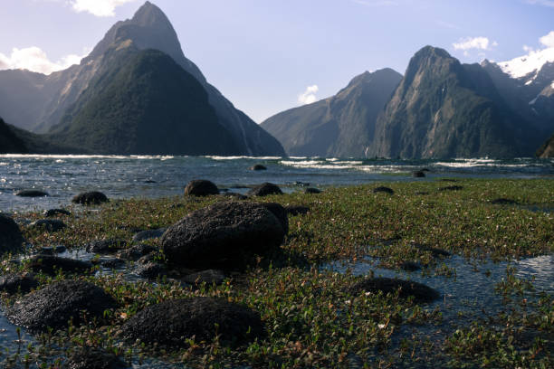 istock New Zealand 1367376308