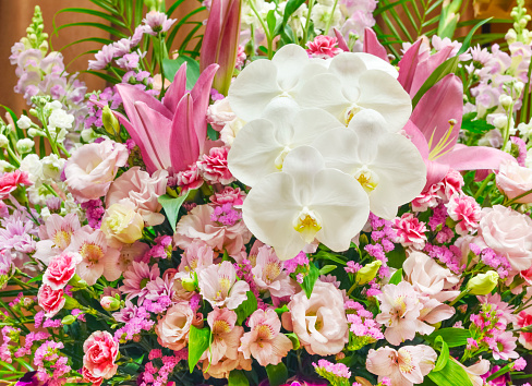 Background material for colorful flower arrangements.