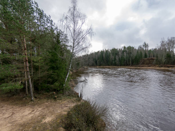 istock Landscape with river and clouds glare 1367376361