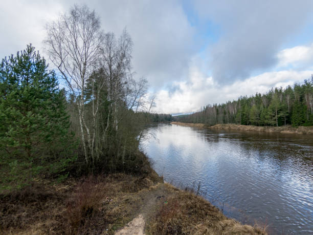 istock Landscape with river and clouds glare 1367376563