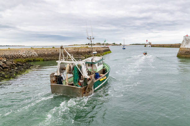 Saint-Vaast-la-Hougue in Normandy, a fishing boat leaving the harbor in evening