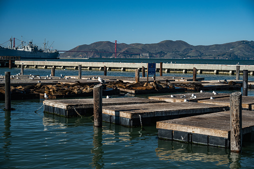 Westhaven Marina in Central Auckland, New Zealand