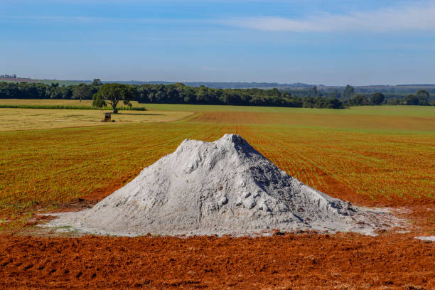istock Limestone heap in the plantation area 1367381615