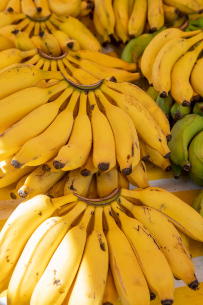 banan - banana bunch yellow healthy lifestyle zdjęcia i obrazy z banku zdjęć