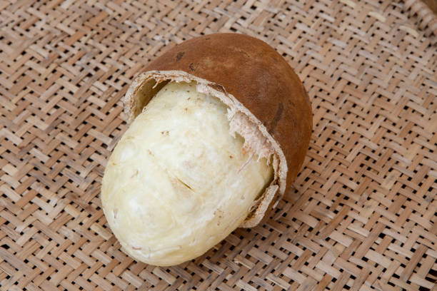istock Cupuacu fruit with broken shell and whole flesh 1367382952