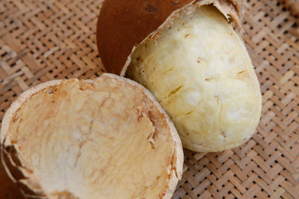 istock Cupuacu fruit with broken shell and whole flesh 1367382982