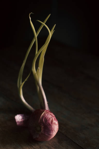 Red onion,garlic and glass jar on wooden table wrapped in linen cloth with low light as fine art print.