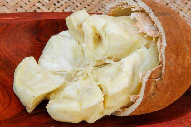 Cupuacu fruit with broken shell and open pulp Closeup of cupuacu fruit, or cupuassu, with broken shell and open pulp on natural texture background theobroma stock pictures, royalty-free photos & images