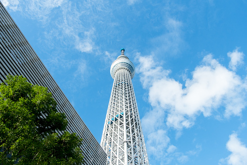 View of Tokyo Skytree from below with blue sky behind framed by buildings