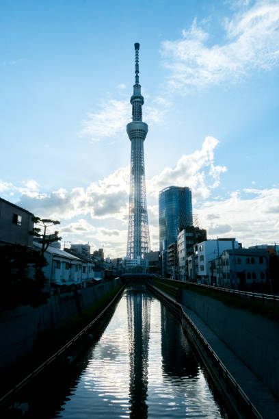 istock View of cityscape with Tokyo Skytree 1367385262