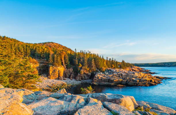 アカディア国立公園の海岸にあるモニュメントビーチ - maine landscape new england forest ストックフォトと画像