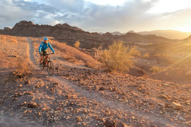 istock Female mountain biker follows desert pathway at sunrise 1367386466