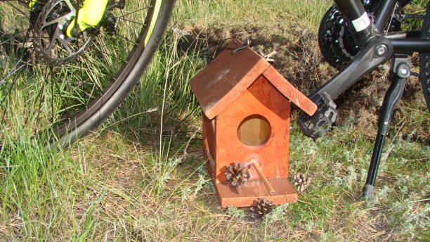 vogelhaus.
vogelhaus, vogelhaus.
spatzenhaus an land im park.
vögel, tiere, tiere, wildtiere, wilde natur, garten - birdhouse animal nest house residential structure stock-fotos und bilder